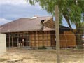 16 February 2005 