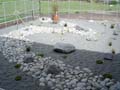 4 November 2005