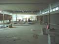 17 October 2005