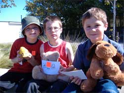 Boys and bears
