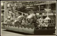 Photo of Aunt Haysl and Hay’s Junior League float