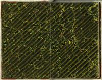 Thumbnail Image of Christchurch Literary Institute subscriptions