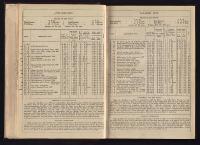 Thumbnail Image of Southern Provinces Almanac, 1865