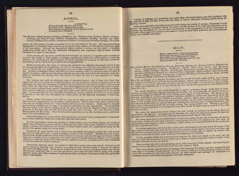 Southern Provinces Almanac, 1866 / Image of Southern Provinces Almanac, 1866 1866