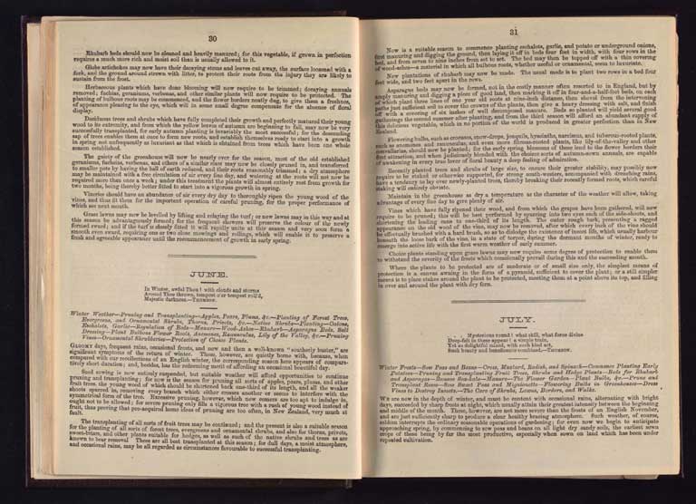 Southern Provinces Almanac, 1866 / Image of Southern Provinces Almanac, 1866 1866