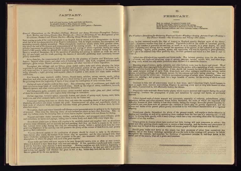 Southern Provinces Almanac, 1868 / Image of Southern Provinces Almanac, 1868 1868