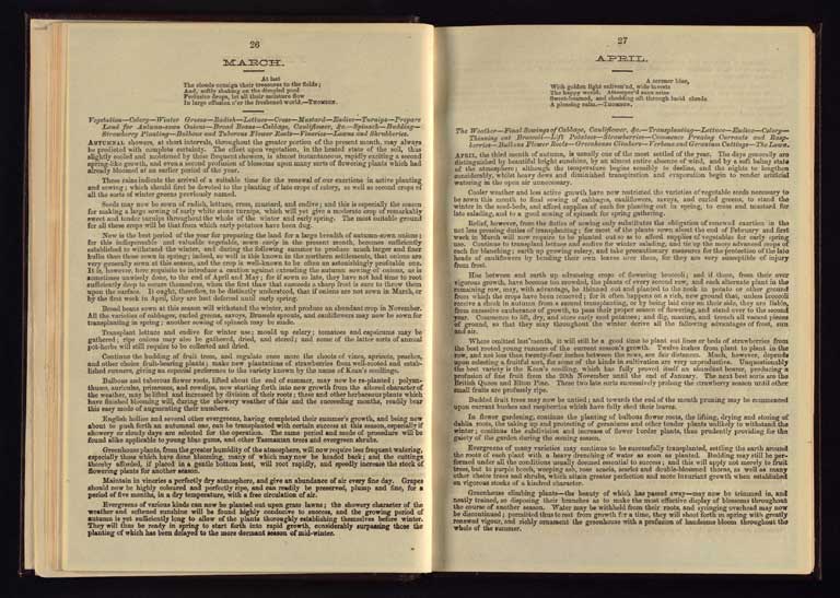 Southern Provinces Almanac, 1868 / Image of Southern Provinces Almanac, 1868 1868