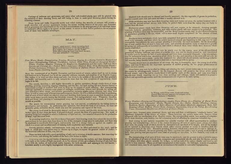 Southern Provinces Almanac, 1868 / Image of Southern Provinces Almanac, 1868 1868
