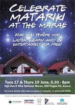 Matariki flyer