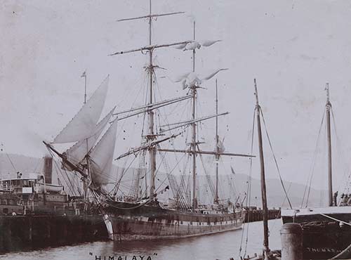 Photo of Himalaya ship