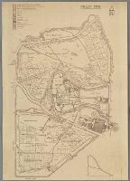 Image of Hagley Park