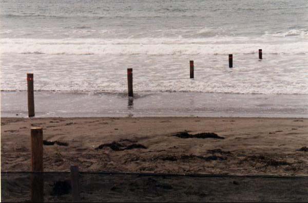 February 16 1996