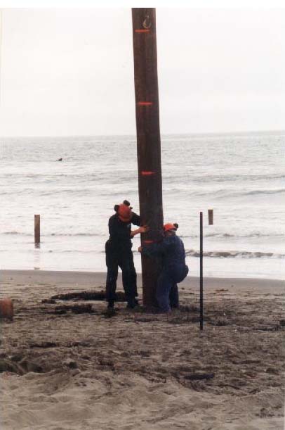 February 16 1996
