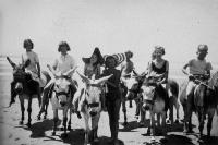 Donkey rides on New Brighton beach