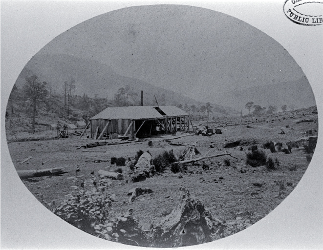 The saw mill of George Holmes, a contractor for Lyttelton Tunnel, at Pigeon Bay, Banks Peninsula The saw mill of George Holmes, a contractor for Lyttelton Tunnel, at Pigeon Bay, Banks Peninsula