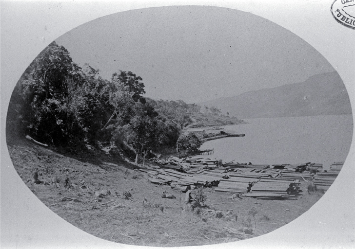 Holmes' wharf, Pigeon Bay, for timber being stacked for use in the Lyttelton Tunnel project Holmes' wharf, Pigeon Bay, for timber being stacked for use in the Lyttelton Tunnel project