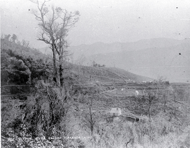 The settlement and Akaroa road in Little River Valley past Lake Forsyth, the main entrance to Banks Peninsula 