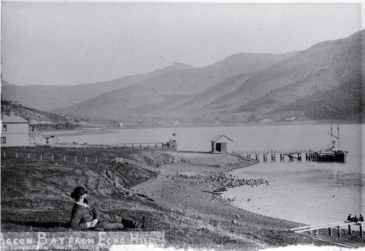 Pigeon Bay, Banks Peninsula, from Echo Hill Pigeon Bay, Banks Peninsula, from Echo Hill