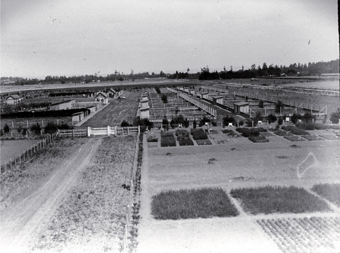 Ruakura Experimental Station in agriculture Ruakura Experimental Station in agriculture