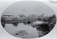 View from the Provincial Government Buildings across the Avon River, Christchurch