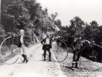 Pioneers on the Wallaby, West Coast road