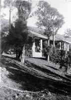 Sign of the Bellbird