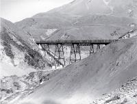 The Sloven's Creek viaduct, near Broken River on the Midland Railway through Arthur's Pass 
