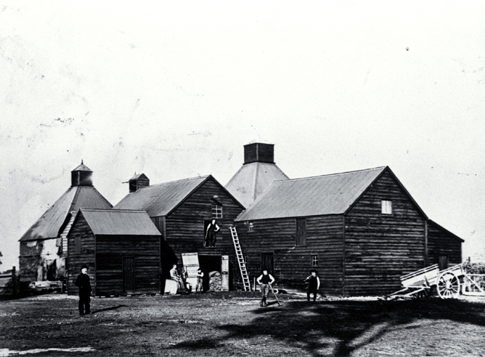 Chicory kilns on Jones Road, Templeton Chicory kilns on Jones Road, Templeton