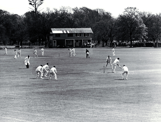 Two cricket matches under way in Hagley Park Two cricket matches under way in Hagley Park