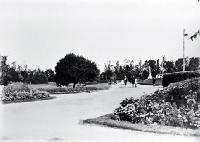 Families strolling in the Temuka Domain on Domain Avenue 