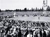 Horses parading in the ring at Riccarton Racecourse [ca. 1960]