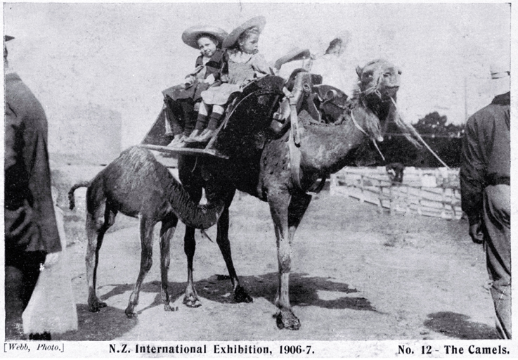 The camel ride including two young travellers at the New Zealand International Exhibition 1906-1907 The camel ride including two young travellers at the New Zealand International Exhibition 1906-1907