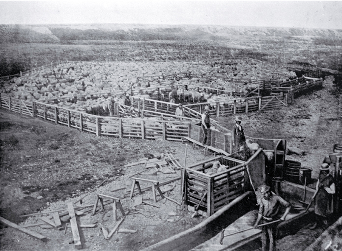 Sheep-washing and drying yards, Longbeach, on the property of John Grigg Sheep-washing and drying yards, Longbeach, on the property of John Grigg