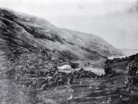 Menzies Bay, Banks Peninsula