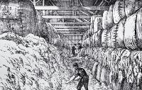 The interior of Messrs R. Wilkin & Company's wool store, Hereford Street, Christchurch