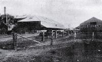 Wood Brothers Ltd., flour mills, Riccarton