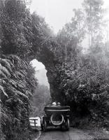 A Model T Ford (Tin Lizzie) travelling under a rock arch in the Buller Gorge, Westland