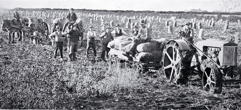 A horse and cart compete against a Fordson tractor and trailer carting a crop of potatoes, Lincoln, Canterbury A horse and cart compete against a Fordson tractor and trailer carting a crop of potatoes, Lincoln, Canterbury