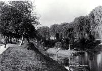 Banks of the Avon river, Christchurch