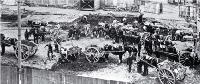 Excavating the site of the Tramway Offices for the new Government Buildings, Christchurch, using horses and carts