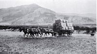 From sheep station to wool store a horse and wagon ford a stream getting a clip from the back country into the store.