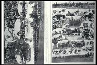 International trotting match at New Brighton