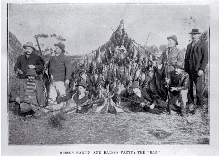 Messrs Martin and Baite's duck shooting party with their bag consisting of 96 ducks, 40 swamp hens, and 15 swans Messrs Martin and Baite's duck shooting party with their bag consisting of 96 ducks, 40 swamp hens, and 15 swans