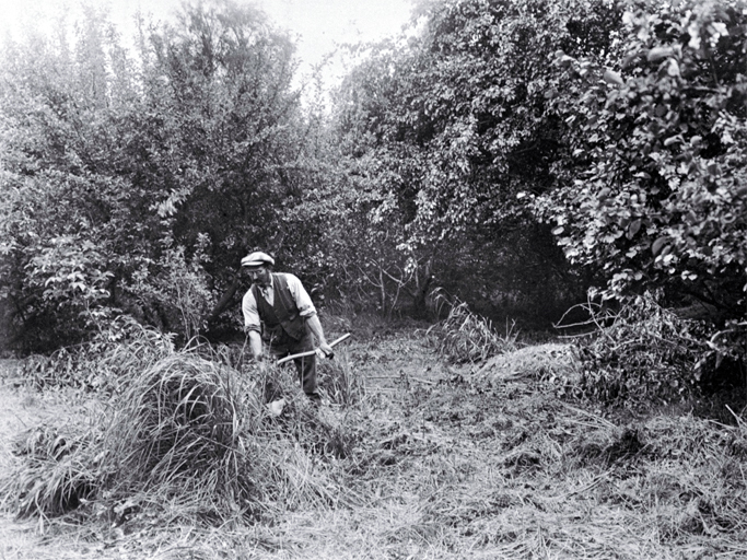 A gardener working in the Millbrook Reserve in the late 1920s A gardener working in the Millbrook Reserve in the late 1920s