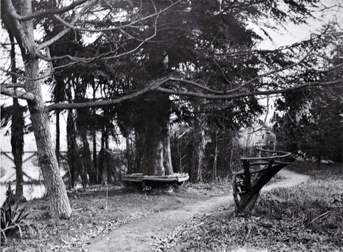 Improvements in the Millbrook Reserve as the result of the work of Richard Bedward Owen (1873-1948) Improvements in the Millbrook Reserve as the result of the work of Richard Bedward Owen (1873-1948)