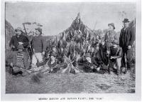 Messrs Martin and Baite's duck shooting party with their bag consisting of 96 ducks, 40 swamp hens, and 15 swans