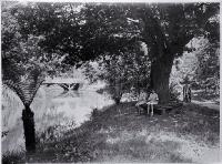 Schoolgirls in the Millbrook Reserve in the late 1920s