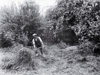 A gardener working in the Millbrook Reserve in the late 1920s