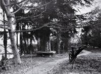 Improvements in the Millbrook Reserve as the result of the work of Richard Bedward Owen (1873-1948)