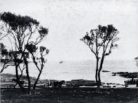 A steamer in Kaingaroa harbour, Chatham Islands : a horse and gig waits near the landing where a small boat is pulling in.